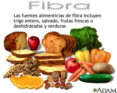 FIBRA SALUD COM fibra salud com: